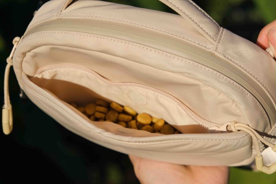 Let's Go! Essentials Bag