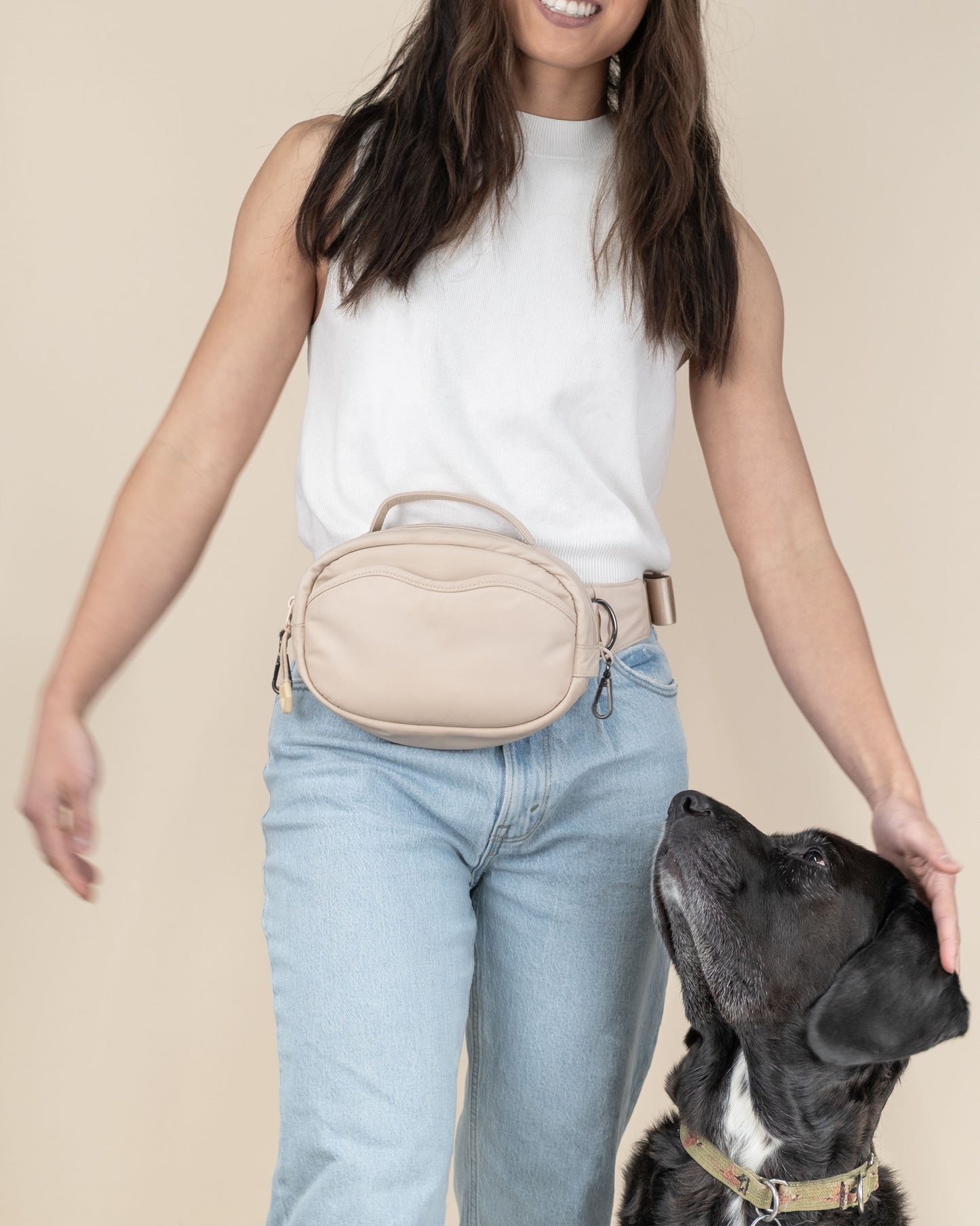 Let's Go Dog Walking & Training Bag